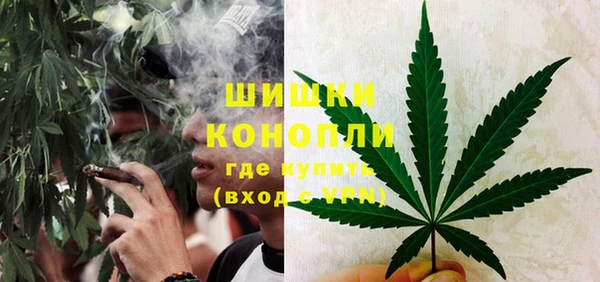 PSILOCYBIN Липки