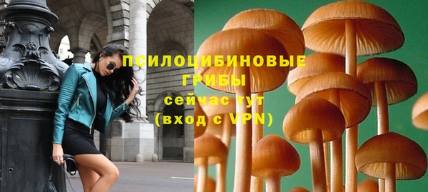 PSILOCYBIN Липки