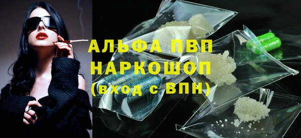PSILOCYBIN Липки