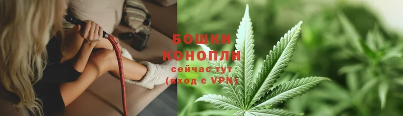 blacksprut как войти  Кохма  Каннабис OG Kush  магазин продажи  